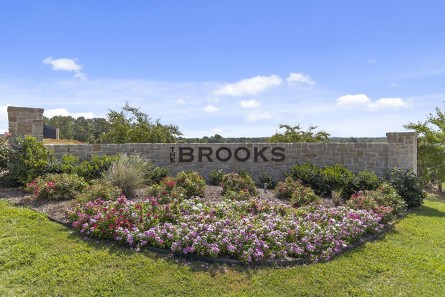 Subdivision of East Texas